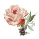 Flower icon 3_Design 3